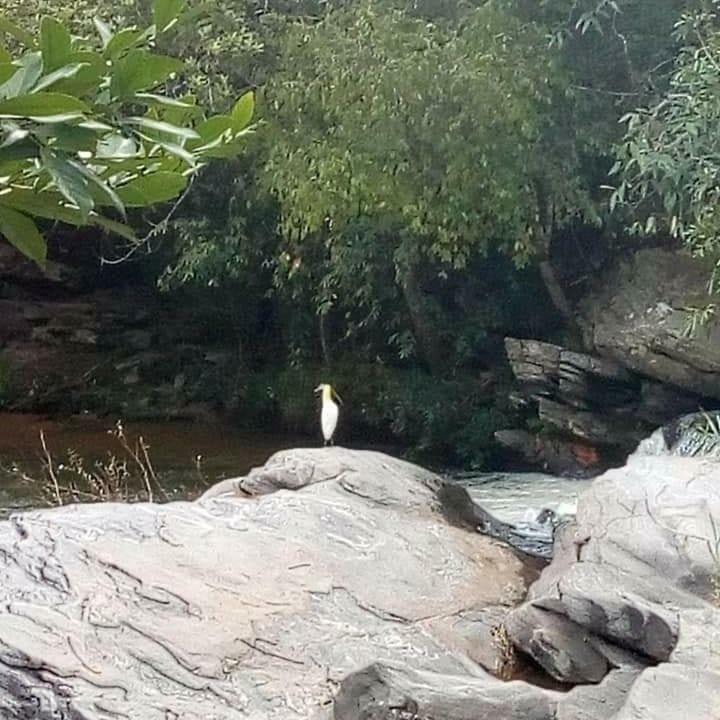 Hotel Pouso Do Rio Pirenópolis Zewnętrze zdjęcie